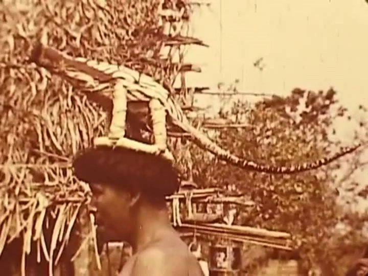 Nudist Videos Xingu Indians - Expedition to rainforests of Brazil in 1948 - 2